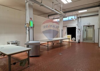 Ufficio - Capannone Falconara Marittima - foto 24