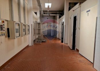 Hall / corridoio - Capannone Falconara Marittima - foto 26