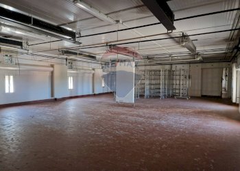 Parcheggio - Capannone Falconara Marittima - foto 29