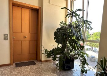 Foto 31 - Quadrilocale SS16
 
16/12/14, Pesaro - foto 31