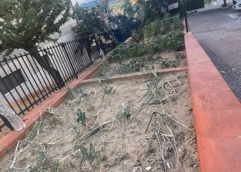 Vista delle montagne - Independent house Paduli - photo 8