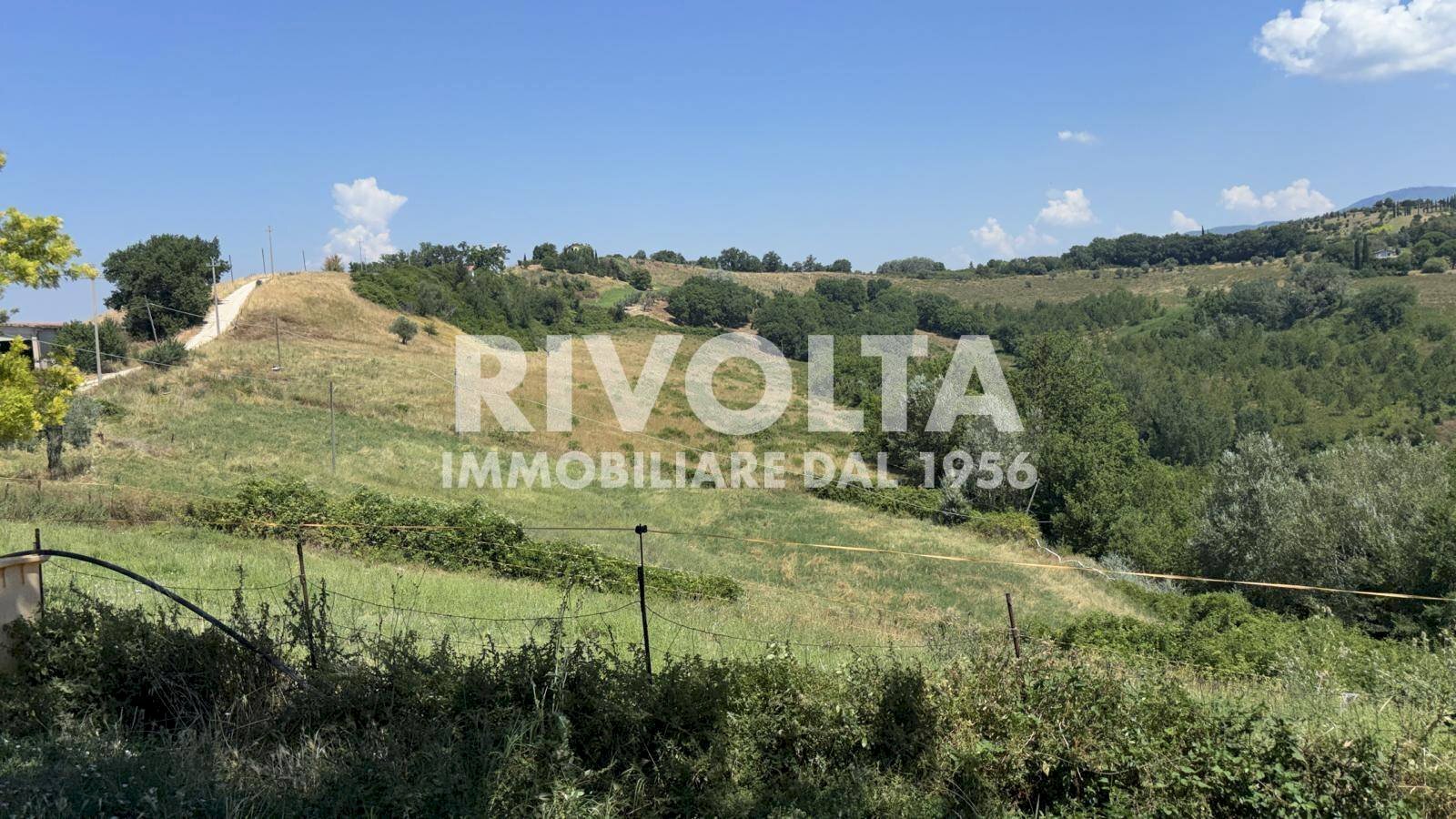 Foto 1 - Agricultural land Collevecchio - photo 1