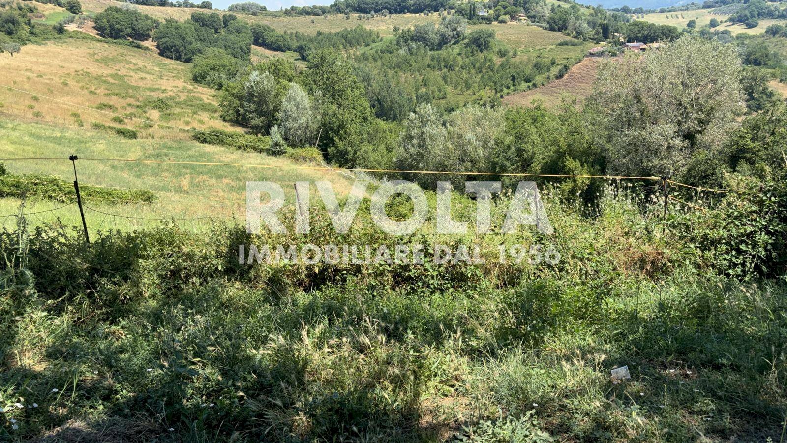 Foto 2 - Agricultural land Collevecchio - photo 2