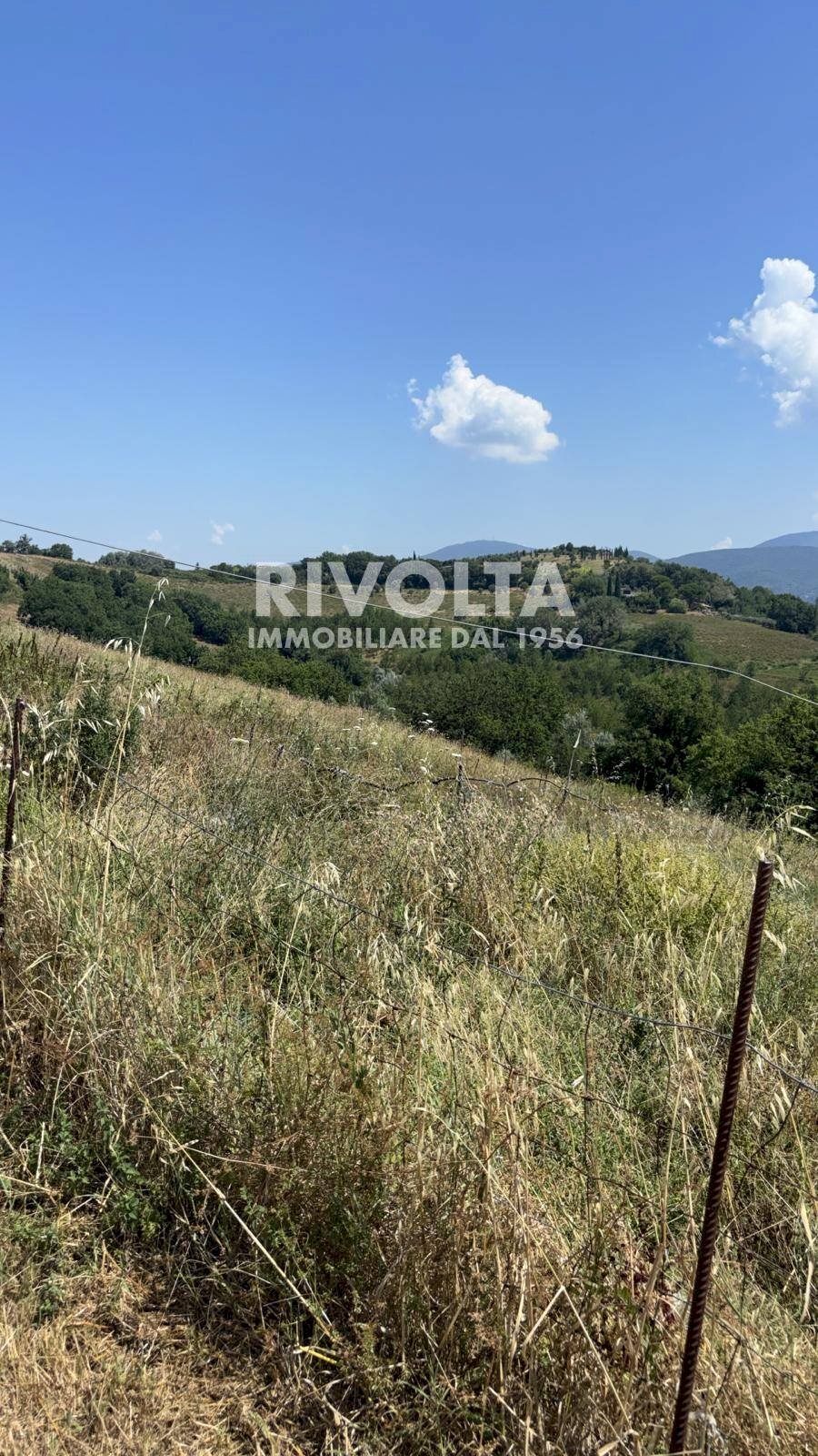 Foto 3 - Agricultural land Collevecchio - photo 3