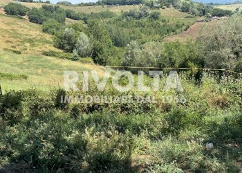 Foto 2 - Terreno agricolo Collevecchio - foto 2