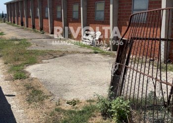 Foto 4 - Terreno agricolo Collevecchio - foto 4