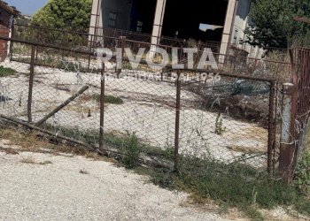 Foto 5 - Terreno agricolo Collevecchio - foto 5