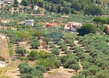 Giardino - Agricultural land contrada corvo, Casteldaccia - photo 6