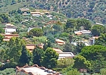 Vista delle montagne - Agricultural land contrada corvo, Casteldaccia - photo 7