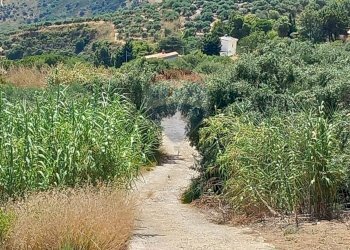 Vista delle montagne - Agricultural land contrada corvo, Casteldaccia - photo 8