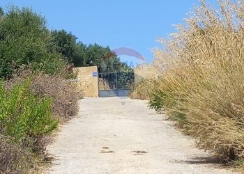 Non correlato - Agricultural land contrada corvo, Casteldaccia - photo 9