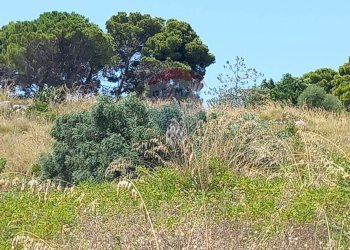 Non correlato - Agricultural land contrada corvo, Casteldaccia - photo 10