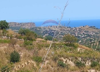 Vista delle montagne - Agricultural land contrada corvo, Casteldaccia - photo 15