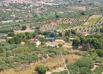 Vista delle montagne - Agricultural land contrada corvo, Casteldaccia - photo 17