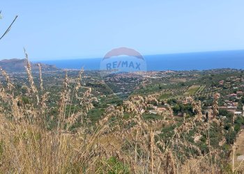 Vista delle montagne - Agricultural land contrada corvo, Casteldaccia - photo 20