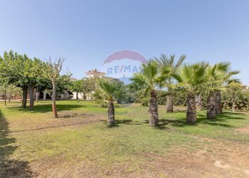 Giardino - Villa via delle orchidee, Ispica - foto 13