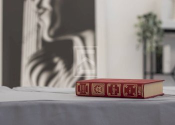 Foto 7 - Villa via Giuseppina
 
23, Cremona - foto 7