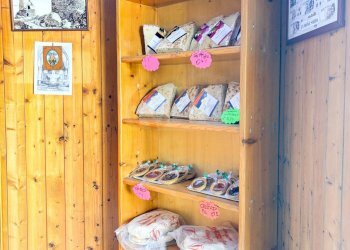 Foto 4 - Attività Commerciale via Roma
 
49, Osilo - foto 4