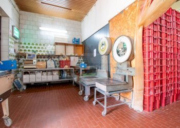 Foto 6 - Attività Commerciale via Roma
 
49, Osilo - foto 6