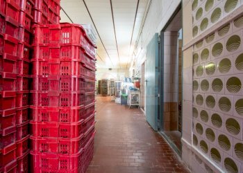 Foto 7 - Attività Commerciale via Roma
 
49, Osilo - foto 7