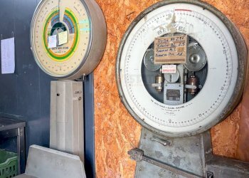 Foto 27 - Attività Commerciale via Roma
 
49, Osilo - foto 27