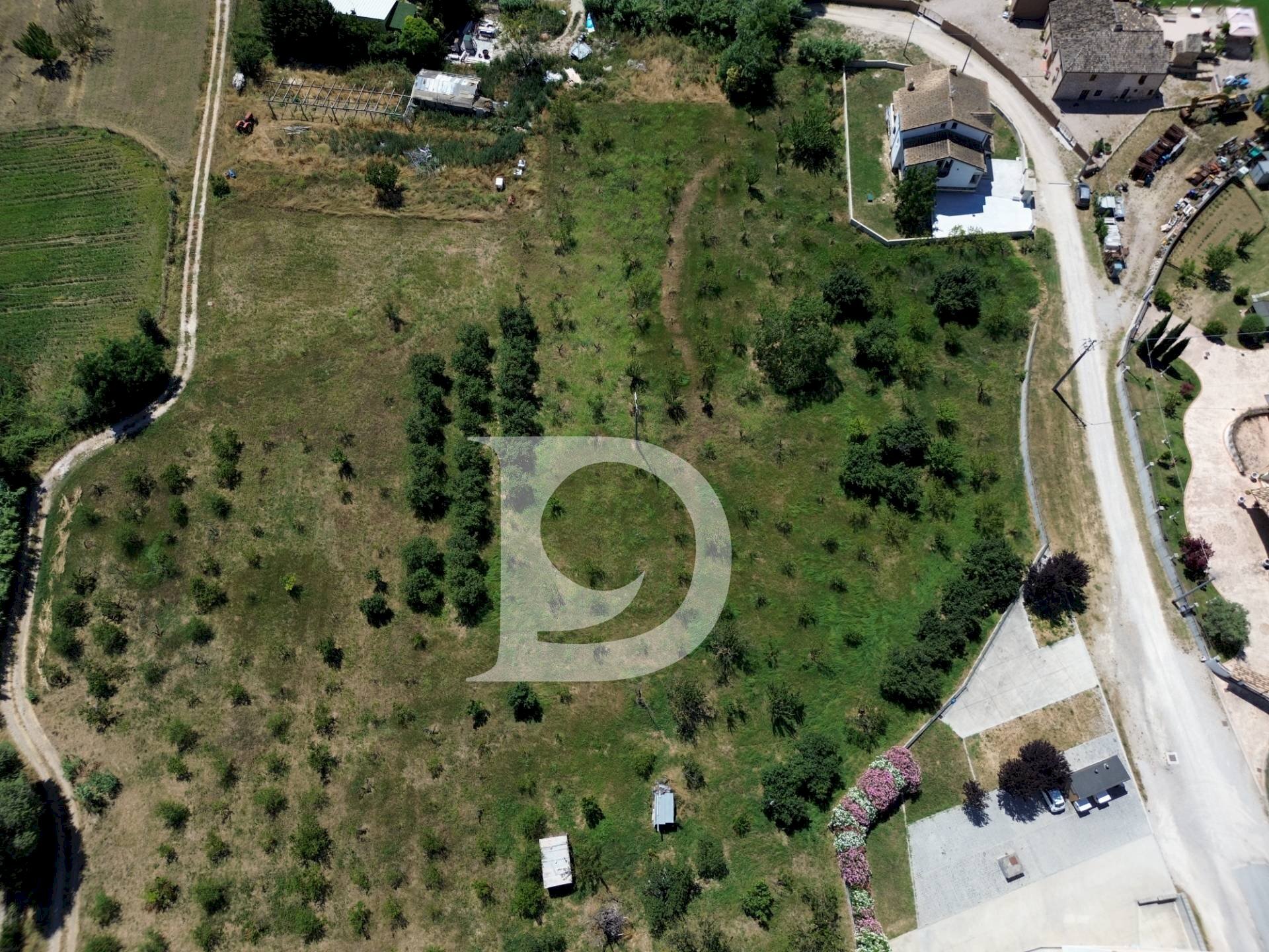 Foto 3 - Terreno edificabile Collecorvino - foto 3