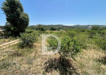 Foto 5 - Terreno edificabile Collecorvino - foto 5