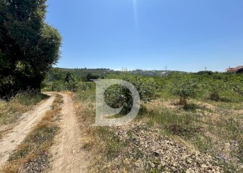 Foto 4 - Terreno edificabile Collecorvino - foto 4