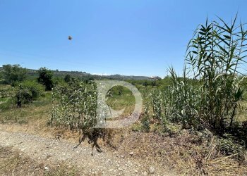 Foto 7 - Terreno edificabile Collecorvino - foto 7