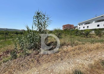 Foto 8 - Terreno edificabile Collecorvino - foto 8