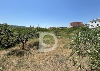 Foto 10 - Terreno edificabile Collecorvino - foto 10