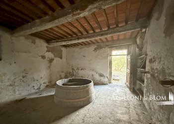 Rustico Strada del Fornacino, snc, Asciano - foto 16