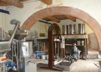 Rustico Strada del Fornacino, snc, Asciano - foto 20
