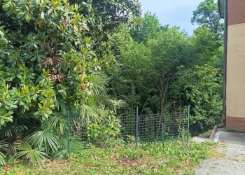 giardino - Villa Giuseppe Negrini, Cermenate - foto 11
