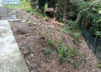 giardino - Villa Giuseppe Negrini, Cermenate - foto 17