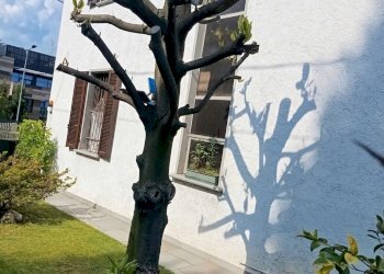 Foto 3 - Villa Giuseppe Negrini
 
34, Cermenate - foto 3