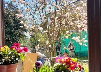 giardino - Villa Giuseppe Negrini
 
34, Cermenate - foto 15