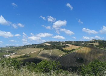 Foto 7 - Rustico Via Menocchia, Carassai - foto 7