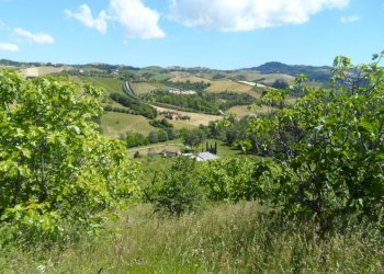 Foto 8 - Rustico Via Menocchia, Carassai - foto 8