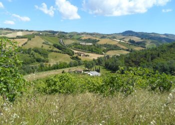 Foto 9 - Rustico Via Menocchia, Carassai - foto 9