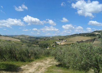 Foto 11 - Rustico Via Menocchia, Carassai - foto 11