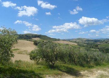 Foto 12 - Rustico Via Menocchia, Carassai - foto 12