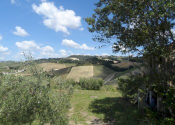 Foto 13 - Rustico Via Menocchia, Carassai - foto 13