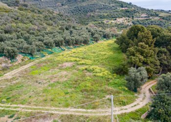 Villa Imperia - foto 7