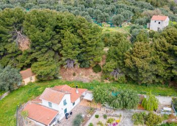 Villa Imperia - foto 10