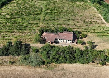 Villa Cassine - photo 15