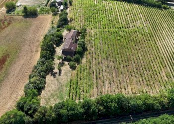 Villa Cassine - photo 23