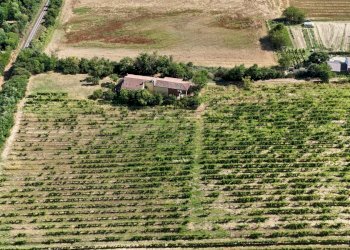 Villa Cassine - photo 24