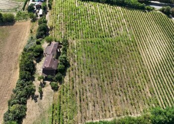 Villa Cassine - photo 25