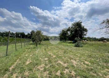 Casa semi indipendente Frazione Vaglierano Basso, Asti - foto 24